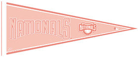 MLB - Washington Nationals - Flags